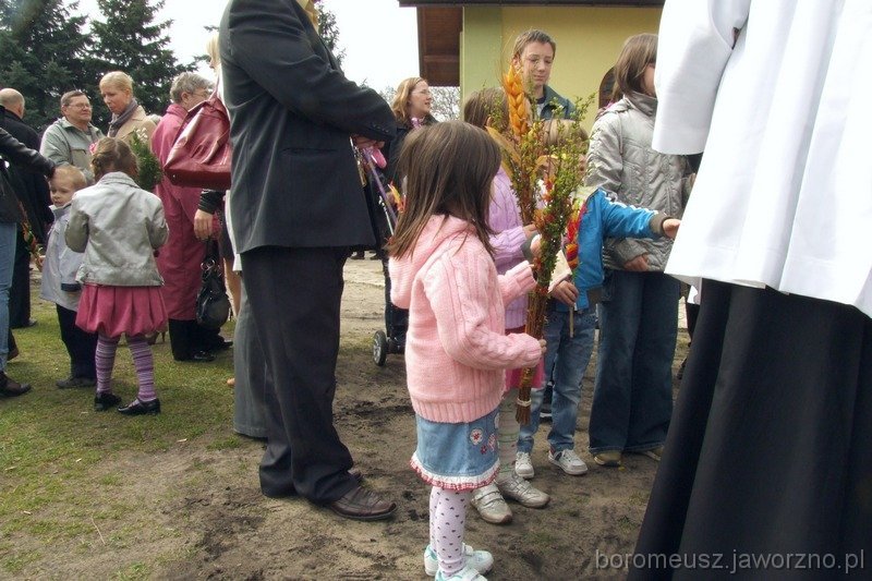 15.jpg