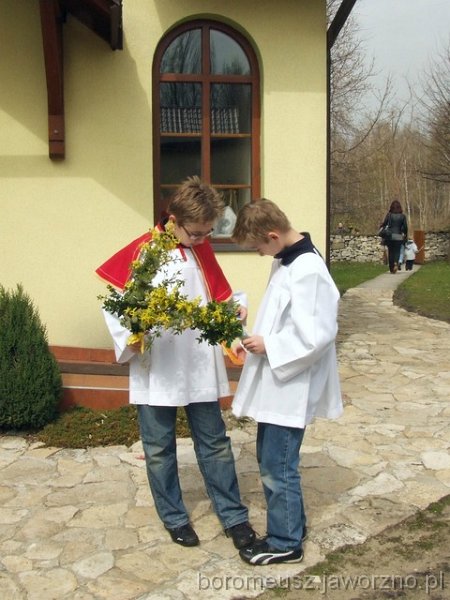 17.jpg